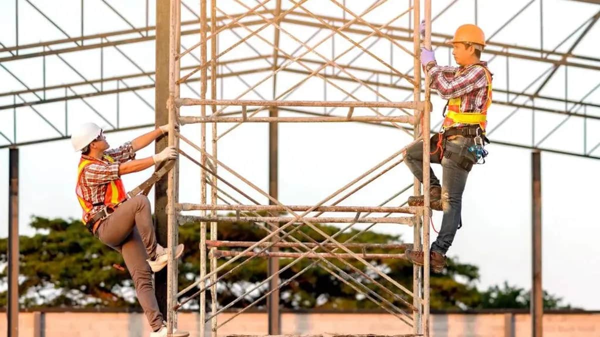 Two workers in hard hats, hi-vis vests and harnesses climbing a scaffold tower beneath a steel roof frame